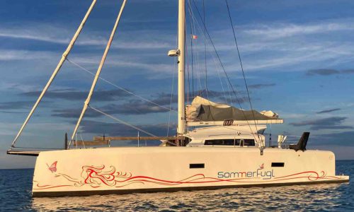 3508 - 1650035181-used-multihull-for-sale-marsaudon-ts42-multihull-network-fr-03